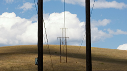 Power lines in field